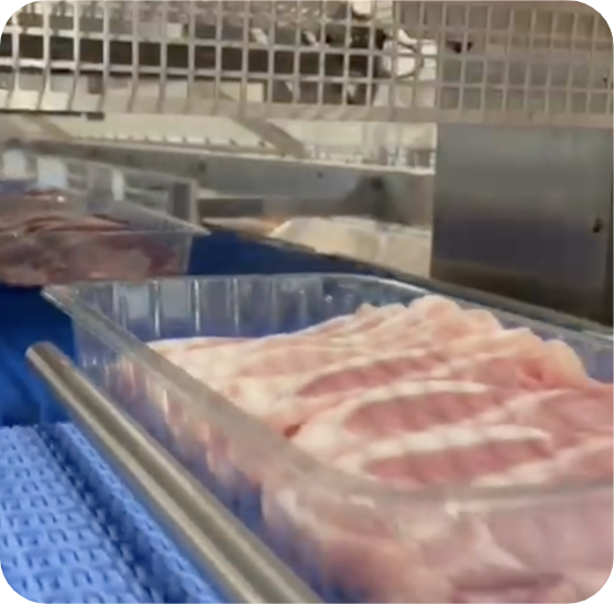 Redmeat Slideshow5